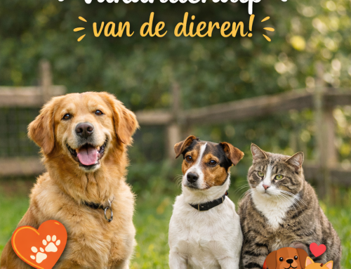 extra hulp tijdens de vakantieperiode 🐾