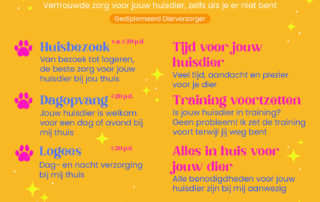 Huisdierenoppas Flyer