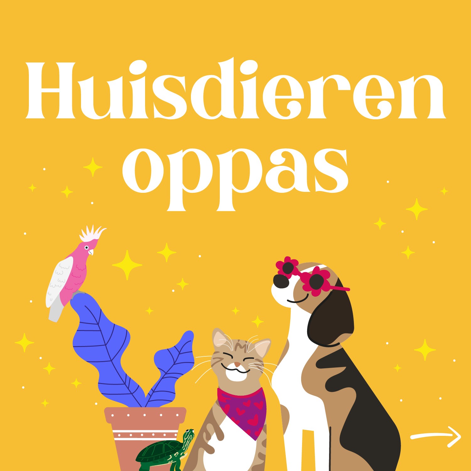 dierenoppas